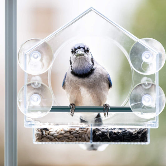 pet bird feeder; Nature Anywhere Clear Plastic Window Bird Feeder for Outside - Clear Window Bird Feeders with Strong Suction Cups